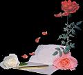 fleurs et nature (156)